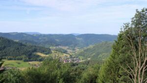 Dieses Bild zeigt eine Webcam-Aufnahme vom Achertal, aufgenommen am Mittwoch, den 17.06.2026 um 08:40 Uhr. Die Temperatur betrug 22.8°C.