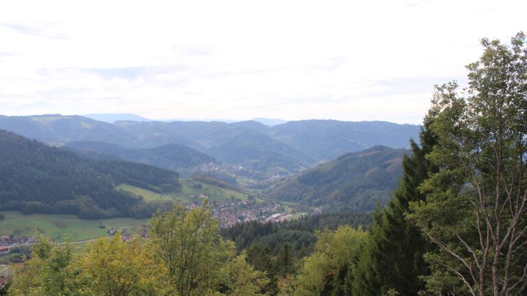 Dieses Bild zeigt eine Webcam-Aufnahme vom Achertal, aufgenommen am Freitag, den 16.10.2026 um 14:50 Uhr. Die Temperatur betrug 21.1°C.
