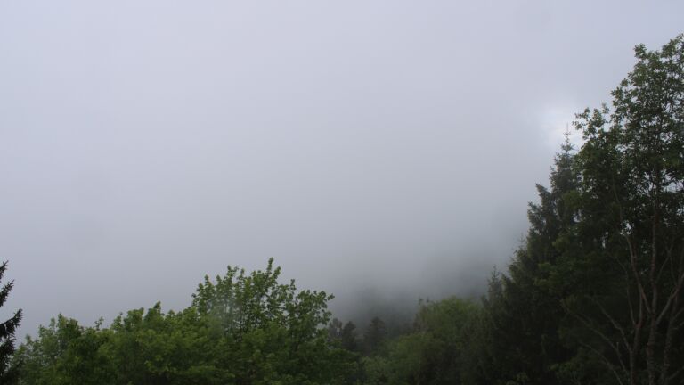 Dieses Bild zeigt eine Webcam-Aufnahme vom Achertal, aufgenommen am Freitag, den 15.05.2026 um 14:40 Uhr. Die Temperatur betrug 7.1°C.