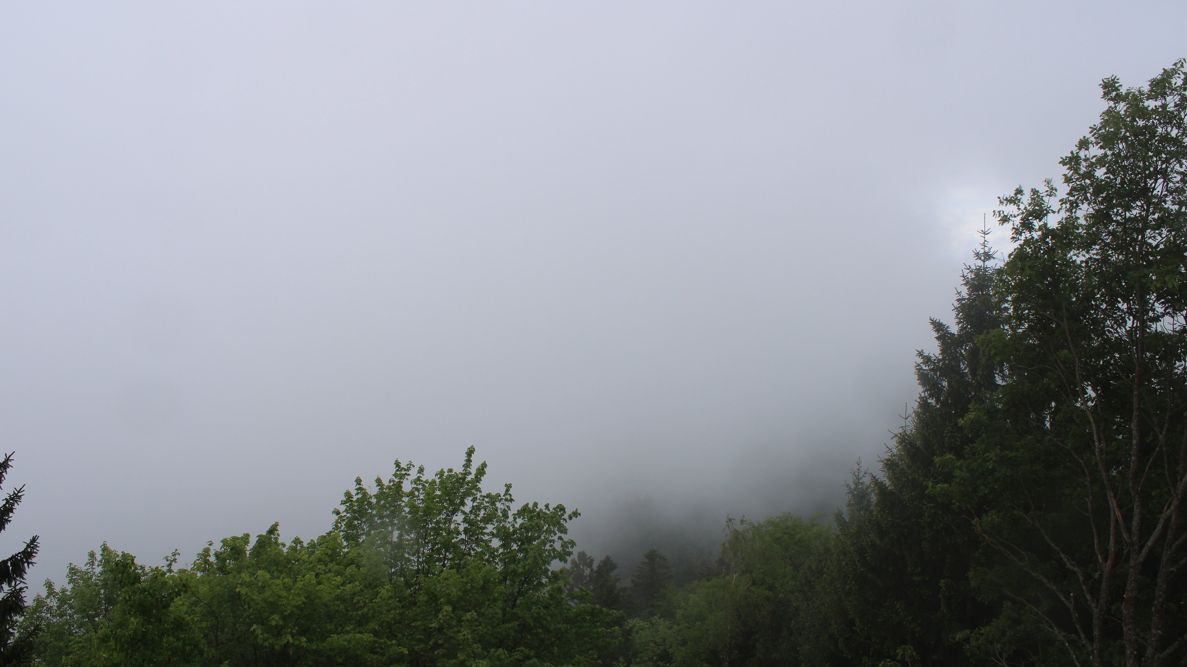 Zum Fotoarchiv vom Freitag, 15. Mai 2026