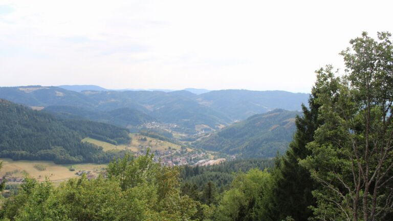Dieses Bild zeigt eine Webcam-Aufnahme vom Achertal, aufgenommen am Samstag, den 15.08.2026 um 16:50 Uhr. Die Temperatur betrug 32.1°C.