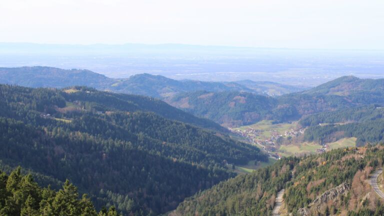 Dieses Bild zeigt eine Webcam-Aufnahme vom Achertal, aufgenommen am Donnerstag, den 13.11.2025 um 12:40 Uhr. Die Temperatur betrug 16.2°C.