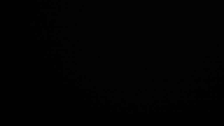 Dieses Bild zeigt eine Webcam-Aufnahme vom Achertal, aufgenommen am Freitag, den 29.08.2025 um 02:00 Uhr. Die Temperatur betrug 10.4°C.
