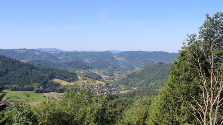 Dieses Bild zeigt eine Webcam-Aufnahme vom Achertal, aufgenommen am Donnerstag, den 18.06.2026 um 09:50 Uhr. Die Temperatur betrug 28°C.