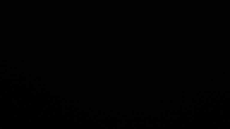 Dieses Bild zeigt eine Webcam-Aufnahme vom Achertal, aufgenommen am Dienstag, den 23.09.2025 um 05:30 Uhr. Die Temperatur betrug 4.4°C.