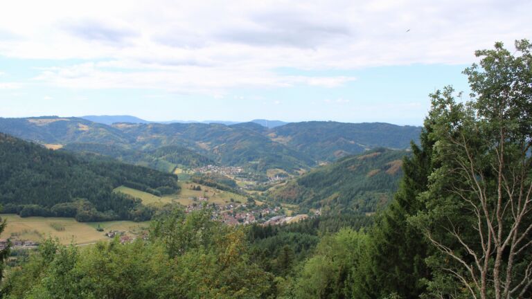 Dieses Bild zeigt eine Webcam-Aufnahme vom Achertal, aufgenommen am Mittwoch, den 19.08.2026 um 11:20 Uhr. Die Temperatur betrug 20.6°C.