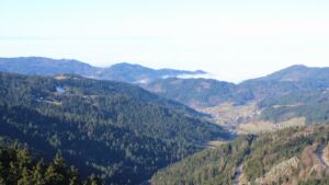 Dieses Bild zeigt eine Webcam-Aufnahme vom Achertal, aufgenommen am Sonntag, den 08.02.2026 um 11:00 Uhr. Die Temperatur betrug 4.4°C.