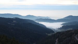 Dieses Bild zeigt eine Webcam-Aufnahme vom Achertal, aufgenommen am Mittwoch, den 03.12.2025 um 16:50 Uhr. Die Temperatur betrug 5°C.