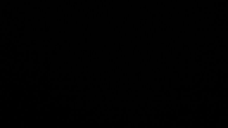 Dieses Bild zeigt eine Webcam-Aufnahme vom Achertal, aufgenommen am Dienstag, den 24.02.2026 um 05:00 Uhr. Die Temperatur betrug 4.9°C.