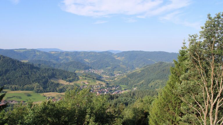 Dieses Bild zeigt eine Webcam-Aufnahme vom Achertal, aufgenommen am Montag, den 22.06.2026 um 08:10 Uhr. Die Temperatur betrug 29.5°C.