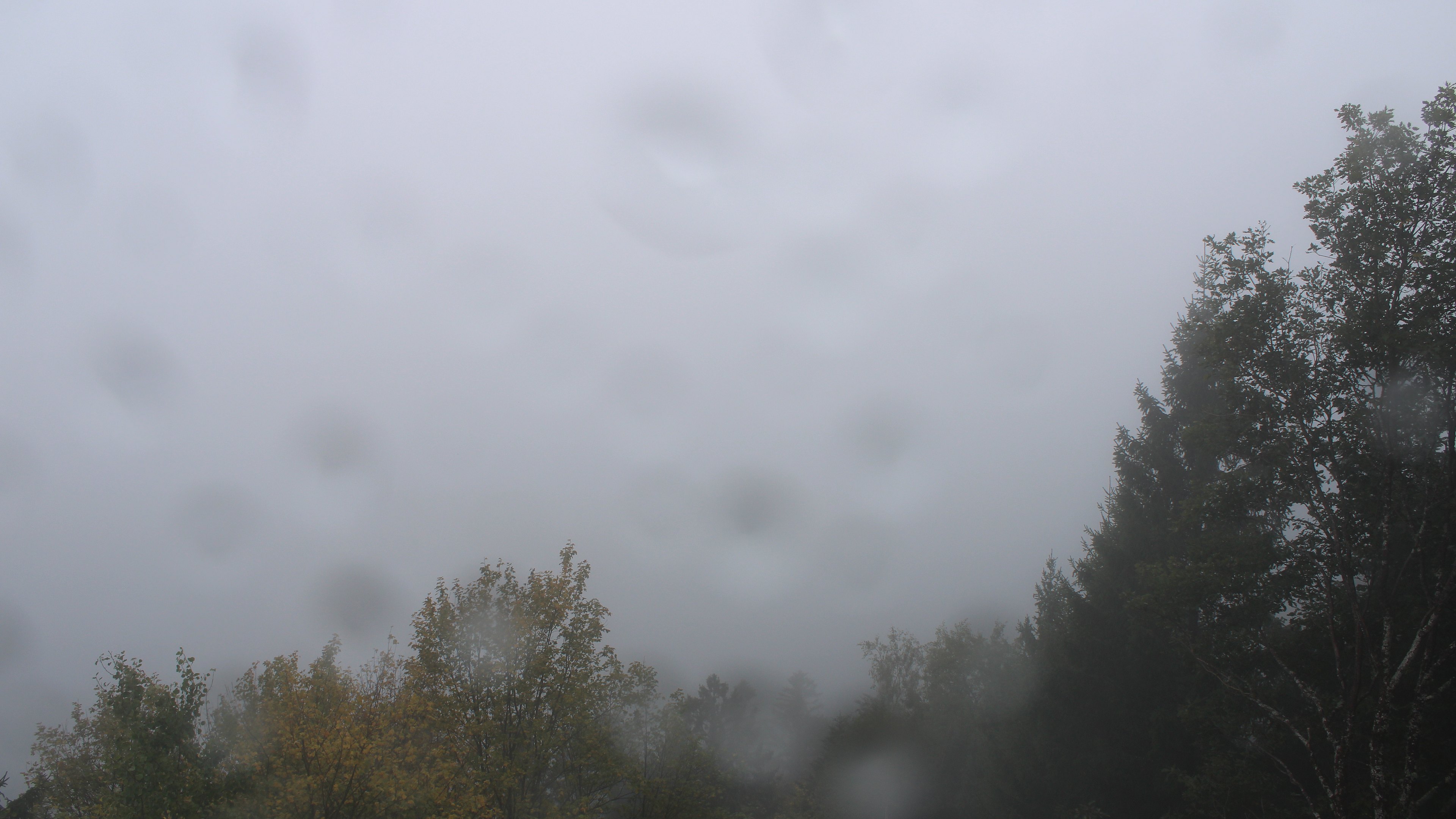 Dieses Bild zeigt eine Webcam-Aufnahme vom Achertal, aufgenommen am Mittwoch, den 28.10.2026 um 11:10 Uhr. Die Temperatur betrug 7.5°C.