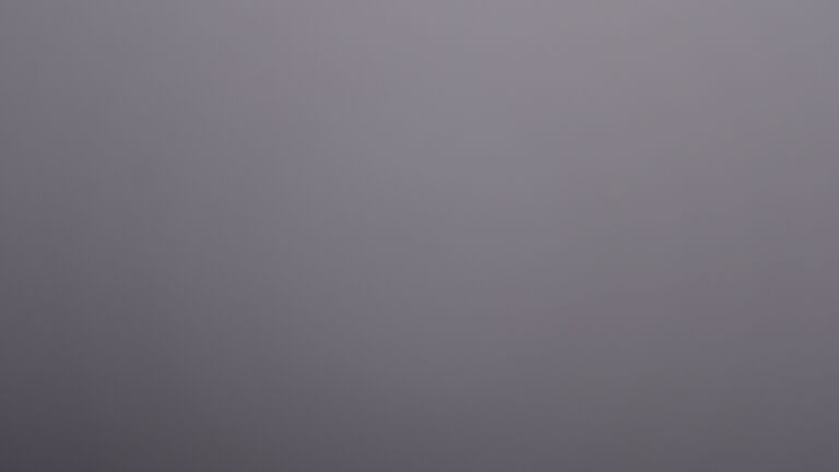 Dieses Bild zeigt eine Webcam-Aufnahme vom Achertal, aufgenommen am Donnerstag, den 21.08.2025 um 20:50 Uhr. Die Temperatur betrug 13.8°C.