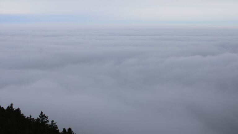 Dieses Bild zeigt eine Webcam-Aufnahme vom Achertal, aufgenommen am Sonntag, den 25.01.2026 um 11:20 Uhr. Die Temperatur betrug 2.4°C.