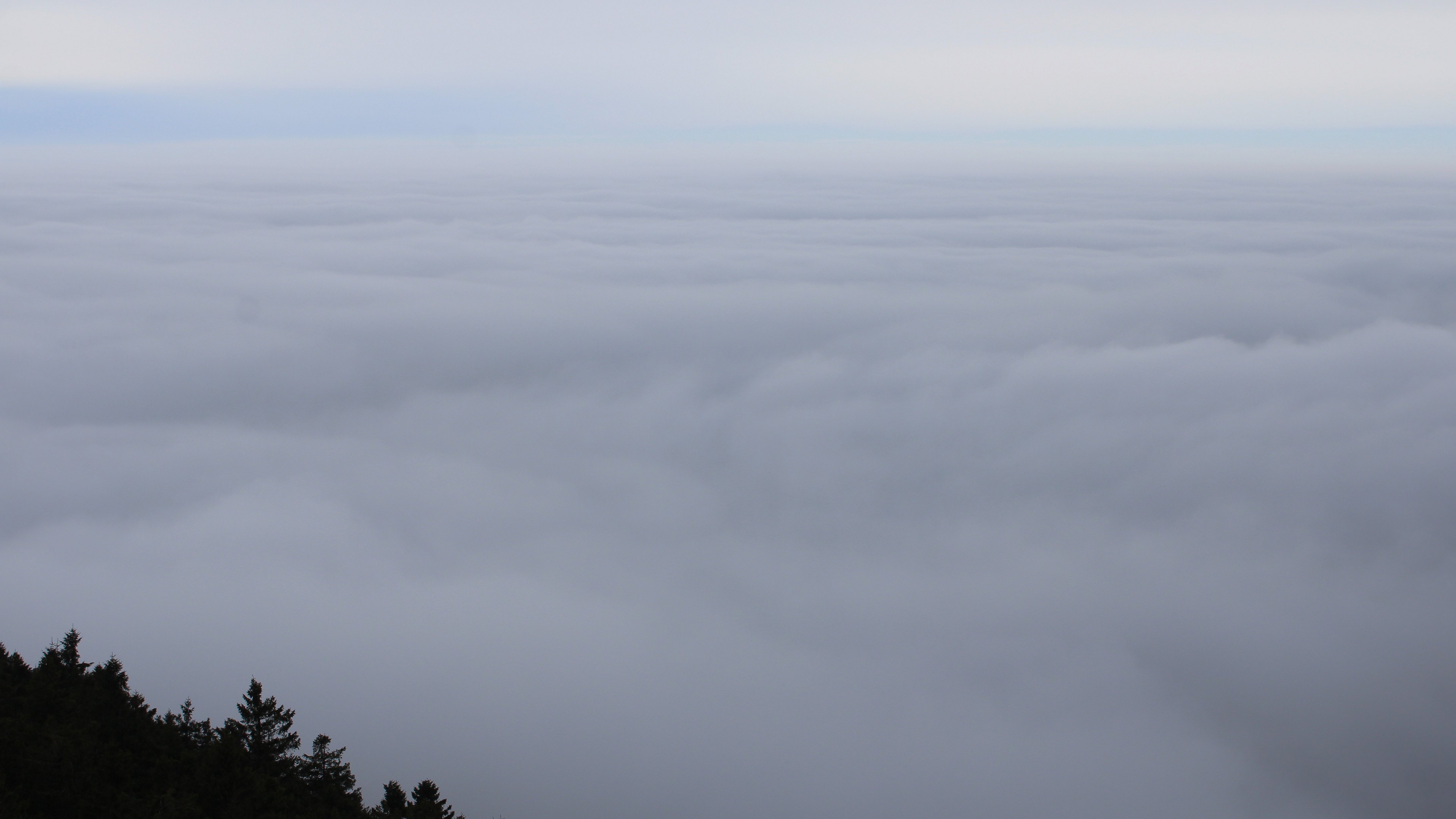 Zum Fotoarchiv vom Sonntag, 25. Januar 2026