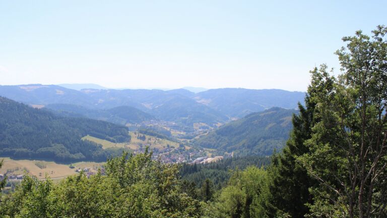 Dieses Bild zeigt eine Webcam-Aufnahme vom Achertal, aufgenommen am Dienstag, den 11.08.2026 um 14:50 Uhr. Die Temperatur betrug 32.4°C.