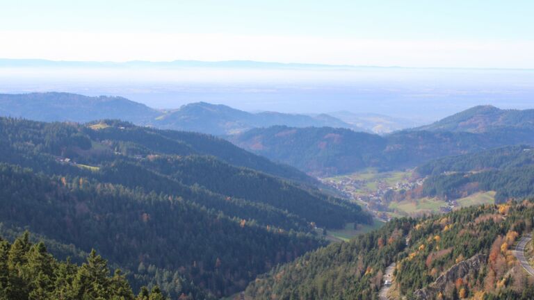 Dieses Bild zeigt eine Webcam-Aufnahme vom Achertal, aufgenommen am Mittwoch, den 05.11.2025 um 14:20 Uhr. Die Temperatur betrug 13.4°C.