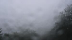 Dieses Bild zeigt eine Webcam-Aufnahme vom Achertal, aufgenommen am Freitag, den 12.06.2026 um 12:40 Uhr. Die Temperatur betrug 10.8°C.