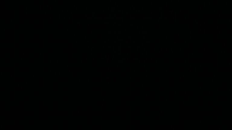 Dieses Bild zeigt eine Webcam-Aufnahme vom Achertal, aufgenommen am Donnerstag, den 17.07.2025 um 01:30 Uhr. Die Temperatur betrug 10.8°C.