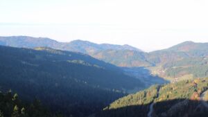 Dieses Bild zeigt eine Webcam-Aufnahme vom Achertal, aufgenommen am Freitag, den 07.11.2025 um 09:00 Uhr. Die Temperatur betrug 8.9°C.