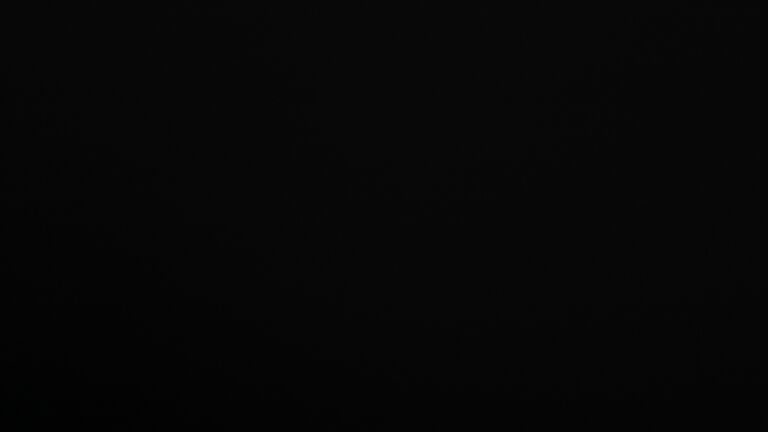 Dieses Bild zeigt eine Webcam-Aufnahme vom Achertal, aufgenommen am Samstag, den 29.11.2025 um 06:30 Uhr. Die Temperatur betrug 4°C.