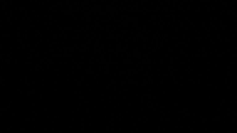 Dieses Bild zeigt eine Webcam-Aufnahme vom Achertal, aufgenommen am Sonntag, den 10.05.2026 um 23:30 Uhr. Die Temperatur betrug 9.3°C.