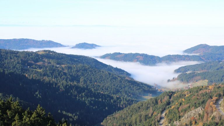 Dieses Bild zeigt eine Webcam-Aufnahme vom Achertal, aufgenommen am Samstag, den 08.11.2025 um 10:50 Uhr. Die Temperatur betrug 11.8°C.