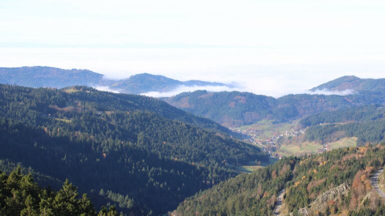 Dieses Bild zeigt eine Webcam-Aufnahme vom Achertal, aufgenommen am Montag, den 10.11.2025 um 11:30 Uhr. Die Temperatur betrug 7.9°C.