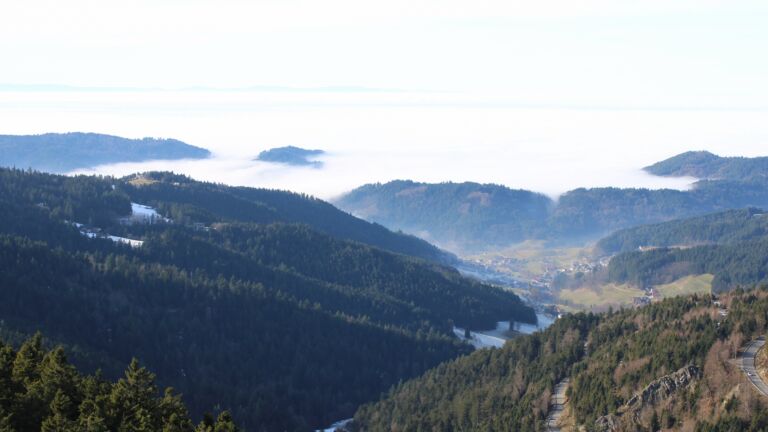 Dieses Bild zeigt eine Webcam-Aufnahme vom Achertal, aufgenommen am Dienstag, den 20.01.2026 um 13:30 Uhr. Die Temperatur betrug 11.1°C.