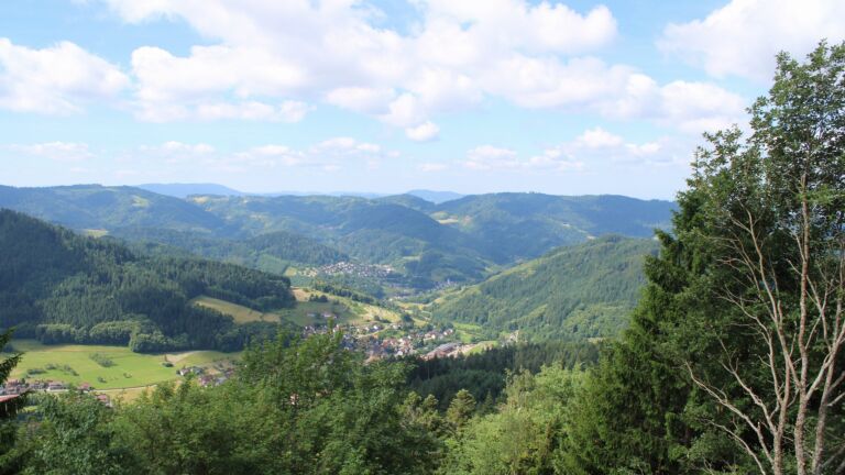 Dieses Bild zeigt eine Webcam-Aufnahme vom Achertal, aufgenommen am Montag, den 15.06.2026 um 10:40 Uhr. Die Temperatur betrug 15.1°C.