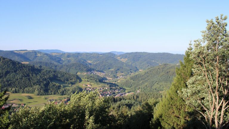 Dieses Bild zeigt eine Webcam-Aufnahme vom Achertal, aufgenommen am Sonntag, den 12.07.2026 um 07:40 Uhr. Die Temperatur betrug 18.7°C.