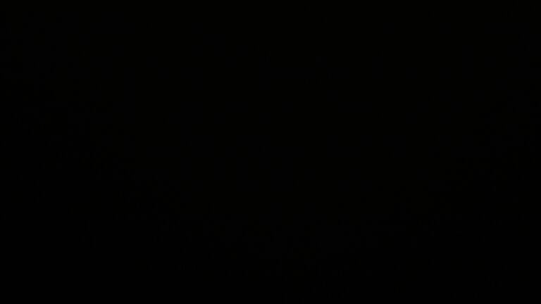 Dieses Bild zeigt eine Webcam-Aufnahme vom Achertal, aufgenommen am Donnerstag, den 05.06.2025 um 01:30 Uhr. Die Temperatur betrug 10.4°C.