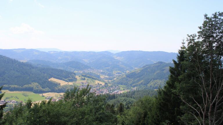 Dieses Bild zeigt eine Webcam-Aufnahme vom Achertal, aufgenommen am Mittwoch, den 24.06.2026 um 14:00 Uhr. Die Temperatur betrug 32.5°C.