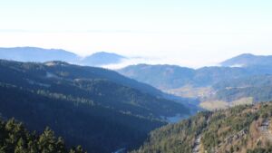 Dieses Bild zeigt eine Webcam-Aufnahme vom Achertal, aufgenommen am Montag, den 29.12.2025 um 12:50 Uhr. Die Temperatur betrug 3.9°C.