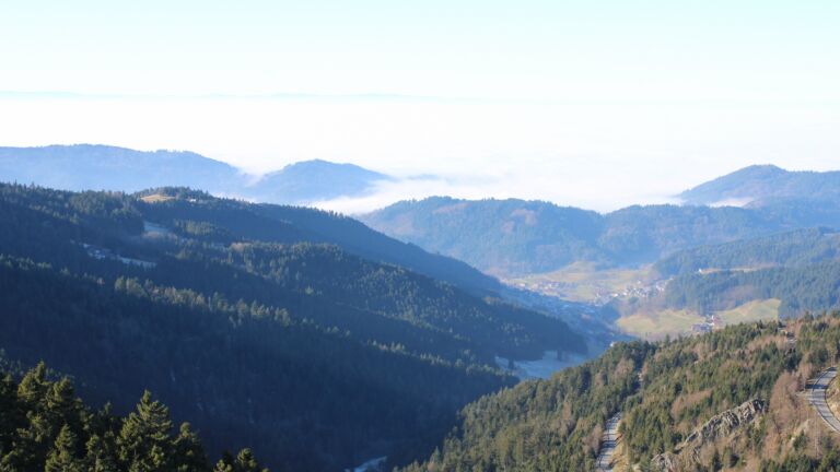 Dieses Bild zeigt eine Webcam-Aufnahme vom Achertal, aufgenommen am Montag, den 29.12.2025 um 12:50 Uhr. Die Temperatur betrug 3.9°C.