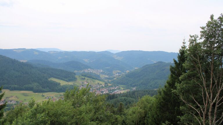 Dieses Bild zeigt eine Webcam-Aufnahme vom Achertal, aufgenommen am Mittwoch, den 15.07.2026 um 11:50 Uhr. Die Temperatur betrug 20.8°C.