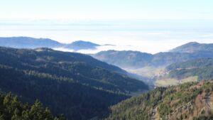 Dieses Bild zeigt eine Webcam-Aufnahme vom Achertal, aufgenommen am Mittwoch, den 03.12.2025 um 12:50 Uhr. Die Temperatur betrug 5.9°C.