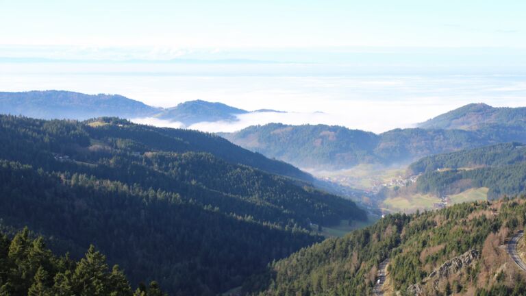 Dieses Bild zeigt eine Webcam-Aufnahme vom Achertal, aufgenommen am Mittwoch, den 03.12.2025 um 12:50 Uhr. Die Temperatur betrug 5.9°C.