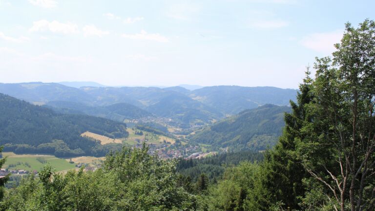 Dieses Bild zeigt eine Webcam-Aufnahme vom Achertal, aufgenommen am Freitag, den 26.06.2026 um 13:50 Uhr. Die Temperatur betrug 34.6°C.