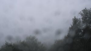 Dieses Bild zeigt eine Webcam-Aufnahme vom Achertal, aufgenommen am Mittwoch, den 16.09.2026 um 11:30 Uhr. Die Temperatur betrug 13.7°C.