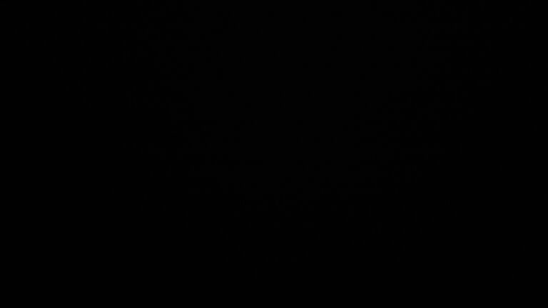 Dieses Bild zeigt eine Webcam-Aufnahme vom Achertal, aufgenommen am Sonntag, den 09.11.2025 um 20:30 Uhr. Die Temperatur betrug 4.2°C.