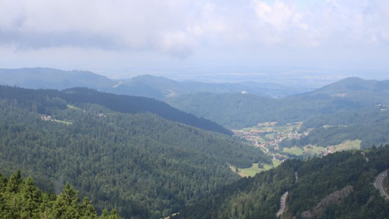 Dieses Bild zeigt eine Webcam-Aufnahme vom Achertal, aufgenommen am Dienstag, den 29.07.2025 um 11:50 Uhr. Die Temperatur betrug 12.8°C.