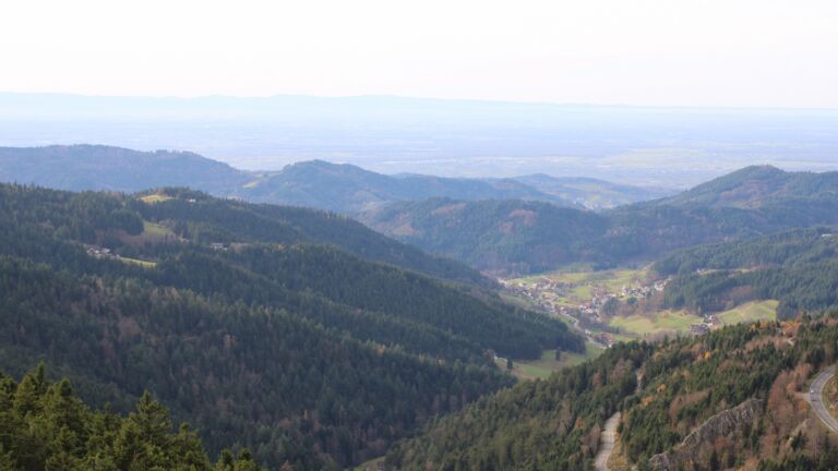 Dieses Bild zeigt eine Webcam-Aufnahme vom Achertal, aufgenommen am Donnerstag, den 13.11.2025 um 14:30 Uhr. Die Temperatur betrug 15.4°C.