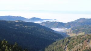 Dieses Bild zeigt eine Webcam-Aufnahme vom Achertal, aufgenommen am Sonntag, den 21.12.2025 um 11:50 Uhr. Die Temperatur betrug 6.8°C.