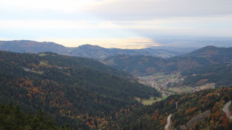 Dieses Bild zeigt eine Webcam-Aufnahme vom Achertal, aufgenommen am Freitag, den 17.10.2025 um 08:50 Uhr. Die Temperatur betrug 5°C.