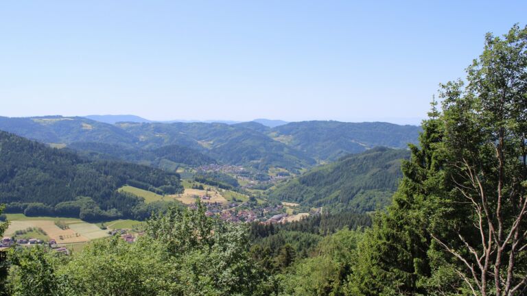 Dieses Bild zeigt eine Webcam-Aufnahme vom Achertal, aufgenommen am Freitag, den 29.05.2026 um 12:40 Uhr. Die Temperatur betrug 24.1°C.