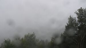 Dieses Bild zeigt eine Webcam-Aufnahme vom Achertal, aufgenommen am Mittwoch, den 16.09.2026 um 13:20 Uhr. Die Temperatur betrug 12.4°C.