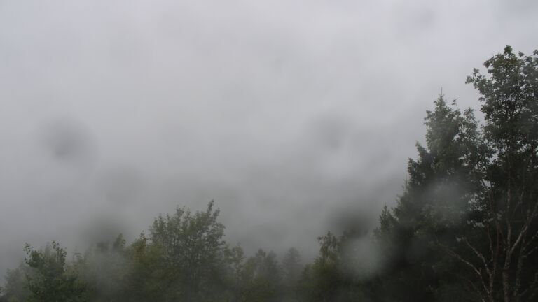 Dieses Bild zeigt eine Webcam-Aufnahme vom Achertal, aufgenommen am Mittwoch, den 16.09.2026 um 13:20 Uhr. Die Temperatur betrug 12.4°C.