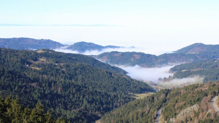 Dieses Bild zeigt eine Webcam-Aufnahme vom Achertal, aufgenommen am Mittwoch, den 25.02.2026 um 11:00 Uhr. Die Temperatur betrug 12.3°C.