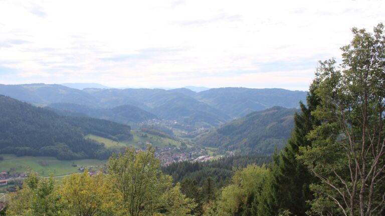 Dieses Bild zeigt eine Webcam-Aufnahme vom Achertal, aufgenommen am Freitag, den 16.10.2026 um 14:30 Uhr. Die Temperatur betrug 21.3°C.