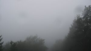 Dieses Bild zeigt eine Webcam-Aufnahme vom Achertal, aufgenommen am Mittwoch, den 01.07.2026 um 06:50 Uhr. Die Temperatur betrug 16.7°C.
